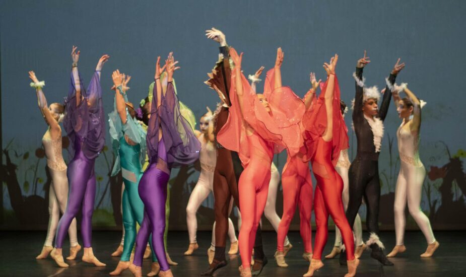 El Gran Viatge de la Dent de Lleó del Jove Ballet Solsoní