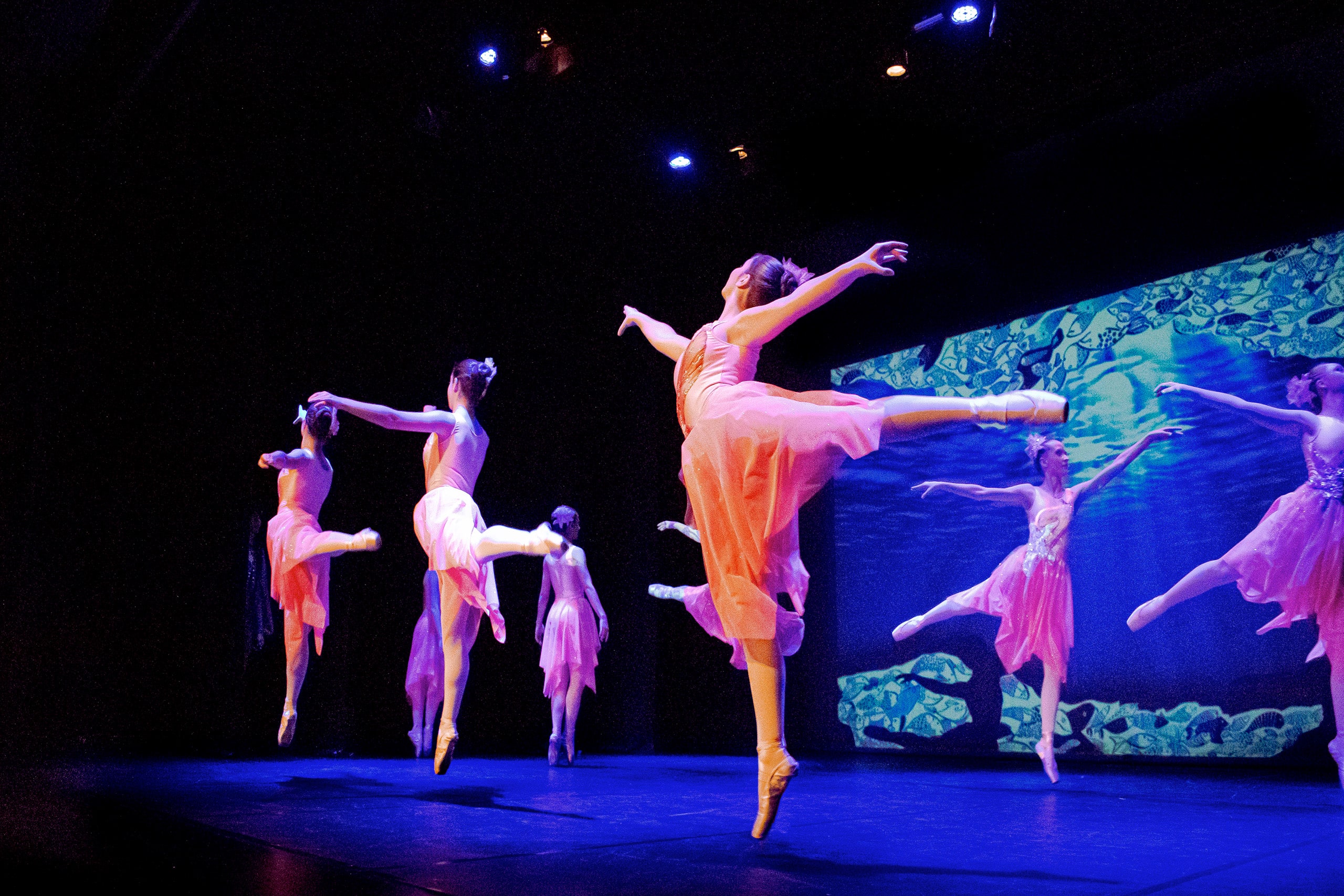 El Gran Viatge de la Dent de Lleó del Jove Ballet Solsoní